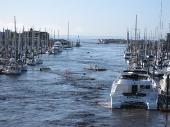 Photo of Santa Cruz Harbor.