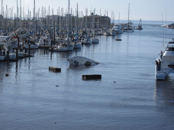 Photo of Santa Cruz Harbor.