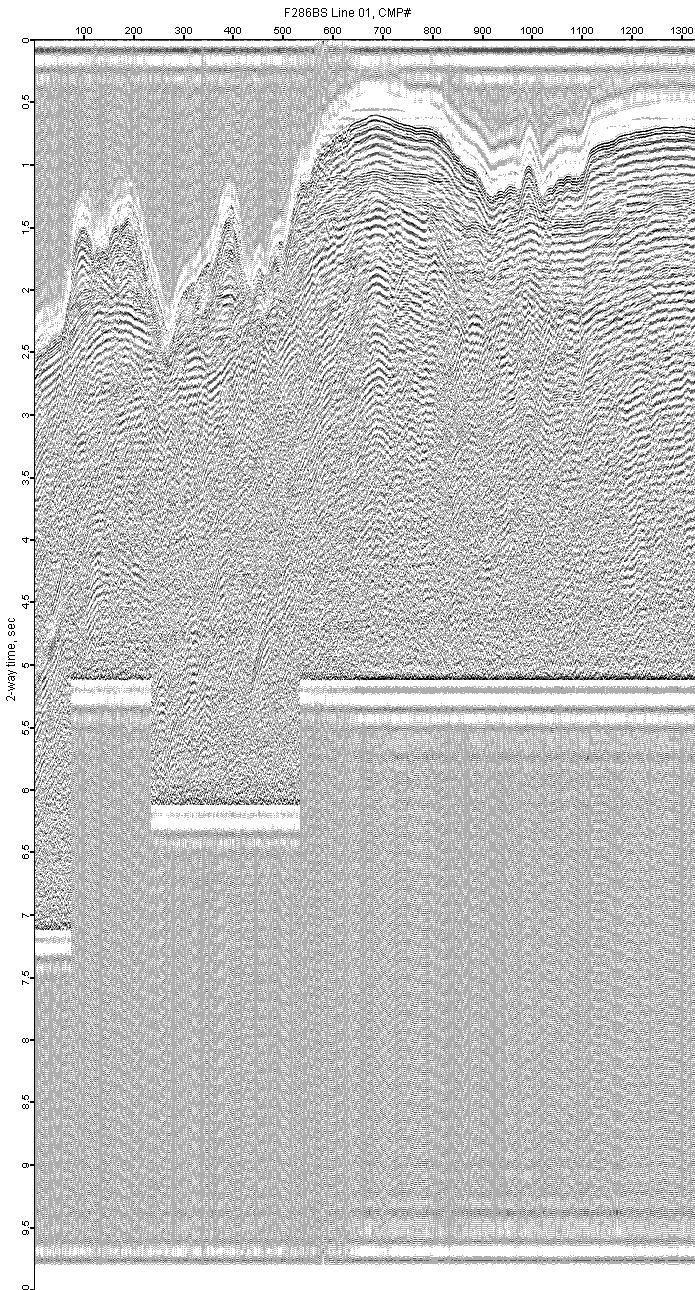 image of seismic data