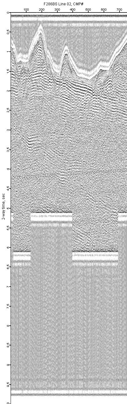 image of seismic data