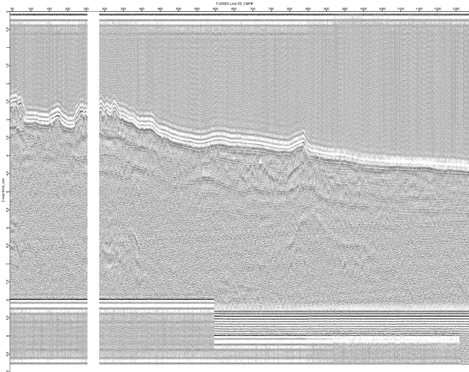 image of seismic data
