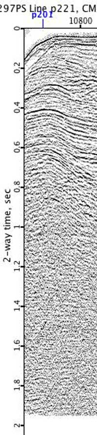 image of seismic data