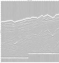 image of seismic data