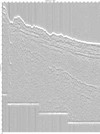 image of seismic data