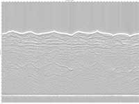 image of seismic data