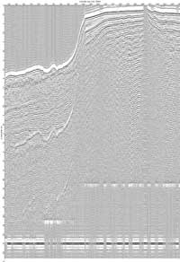 image of seismic data