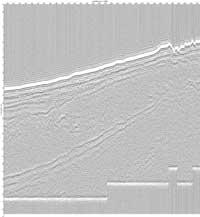 image of seismic data
