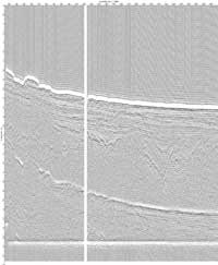 image of seismic data