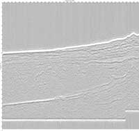 image of seismic data