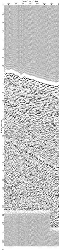 image of seismic data