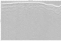 image of seismic data