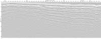 image of seismic data