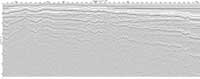image of seismic data