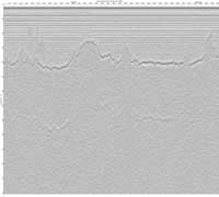 image of seismic data