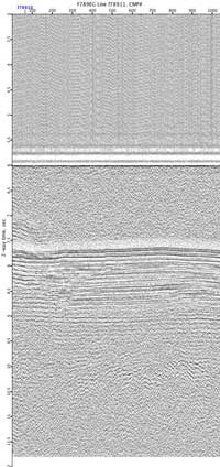 image of seismic data