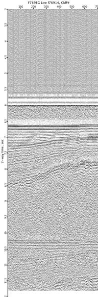image of seismic data