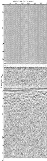 image of seismic data