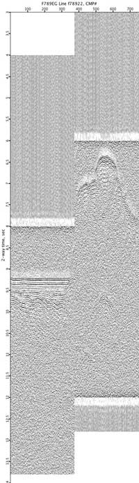 image of seismic data