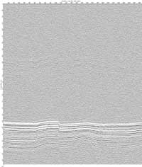 image of seismic data