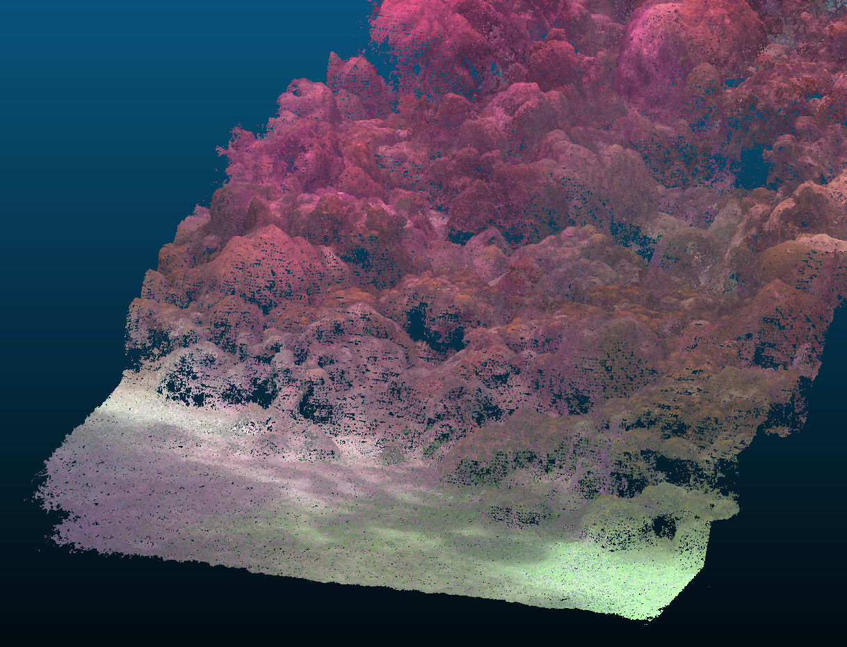 Perspective view of a SfM point cloud