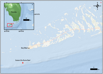 Overview image of data release