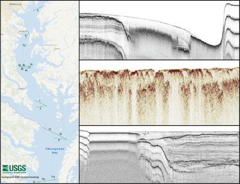 Overview image of data release