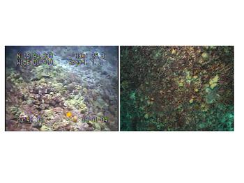 Overview image of data release