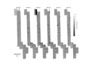 Preview of dataset