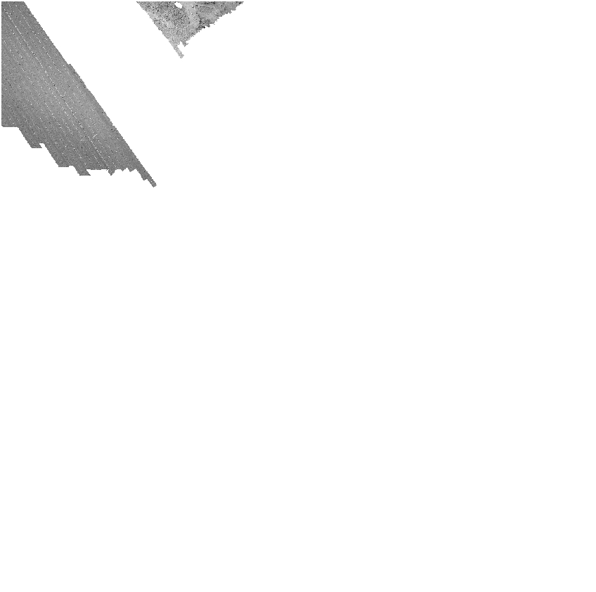 Thumbnail of file.