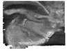 image of 1 meter resolution backscatter data