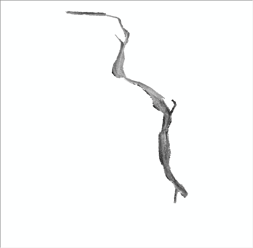 Gray-scale image of interferometric backscatter of the Connecticut River