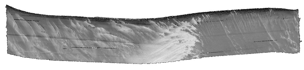 Gray-scale image of multibeam echosounder data collected on the inner continental shelf offshore of Fire Island, NY
