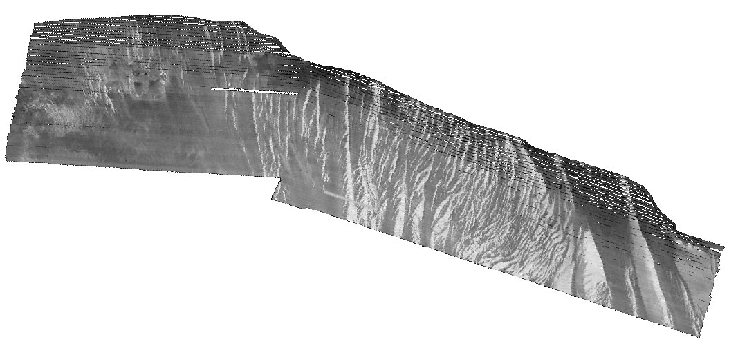 Gray-scale image of multibeam echosounder data collected on the inner continental shelf offshore of The Rockaways to Jones Inlet, NY