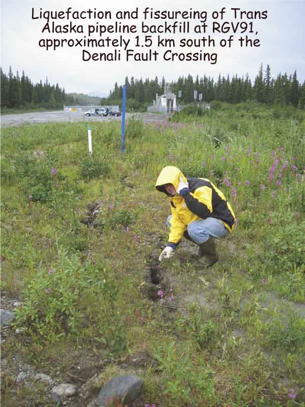 Liquefaction and fissuring of pipeline backfill at RGV91, approximately 1.5 kilometers south of the Denali Fault Crossing.