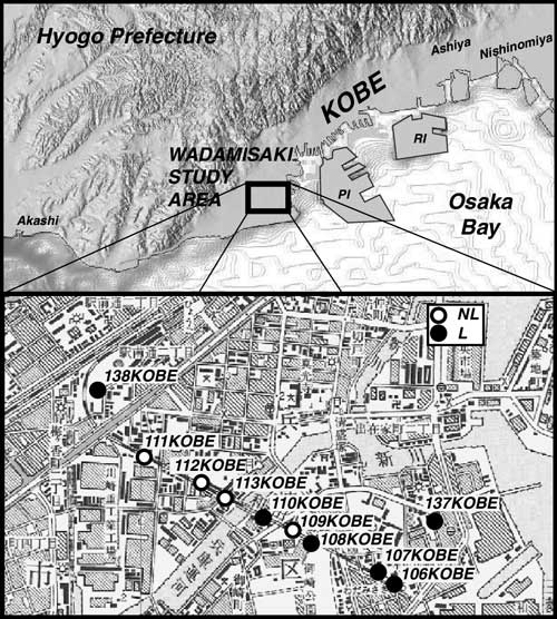 Maps of Wadamisaki district showing liquefaction sites.