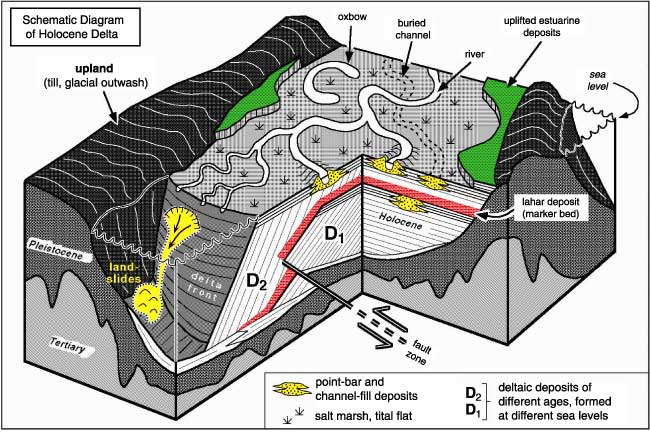 Schematic Diagram of Holocene Delta