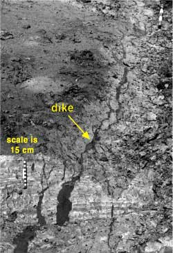 Photography of dike in tidal-marsh deposit