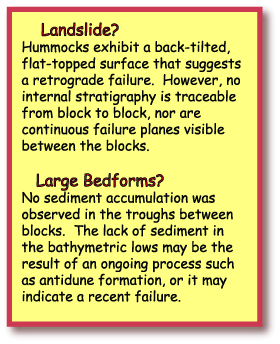 Landslide? - or Large Bedforms?