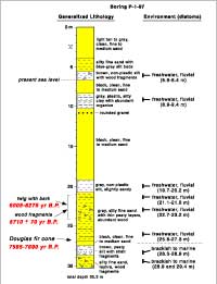 Core section of general lithology and occurrence of diatoms