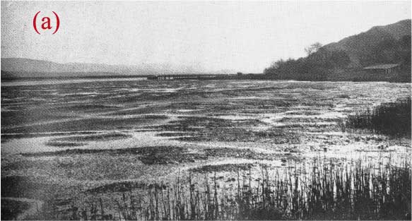 1908 photo of Tomales Bay.
