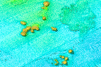 {Map view of Triple Top-Double Top Reefs