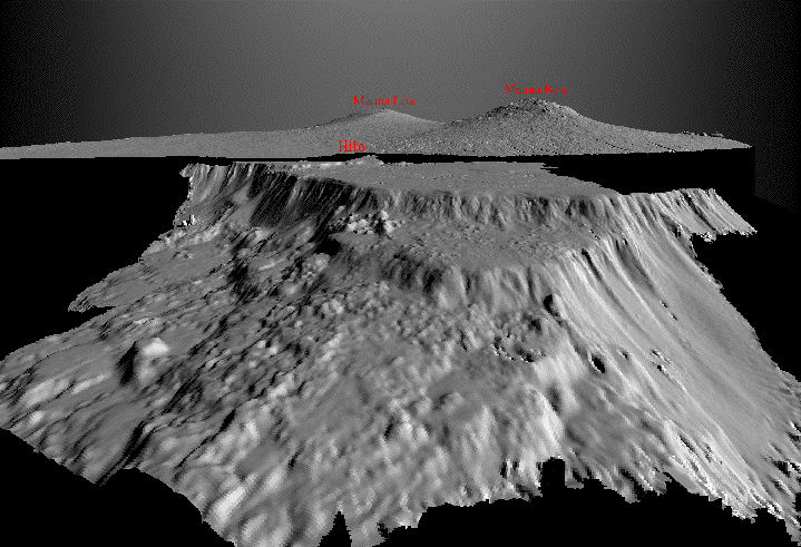 Hilo oblique view