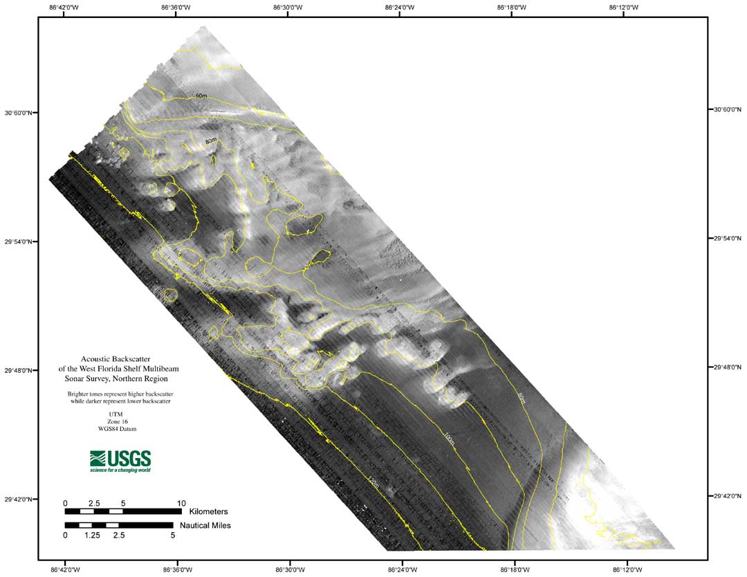 Northern Region of West Florida Shelf Acoustic Backscatter Image