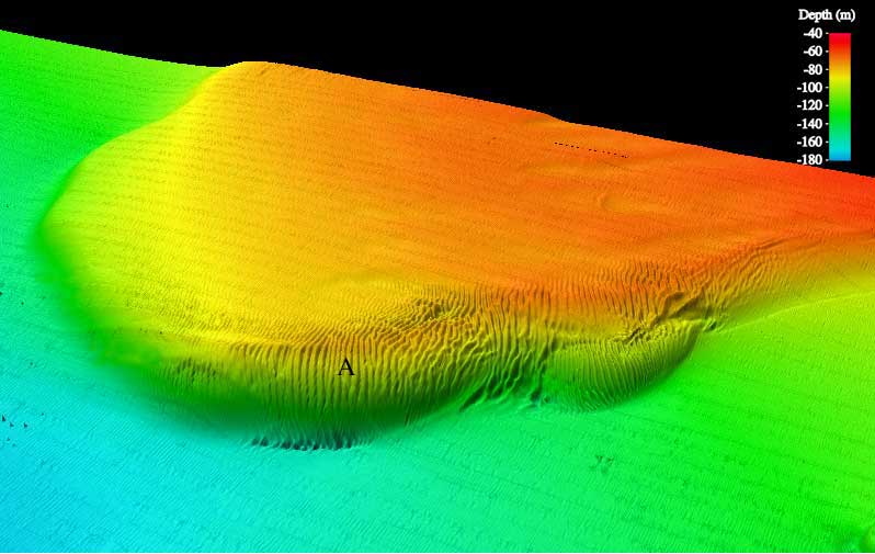 Perspective View of West Florida Shelf; seee caption below.