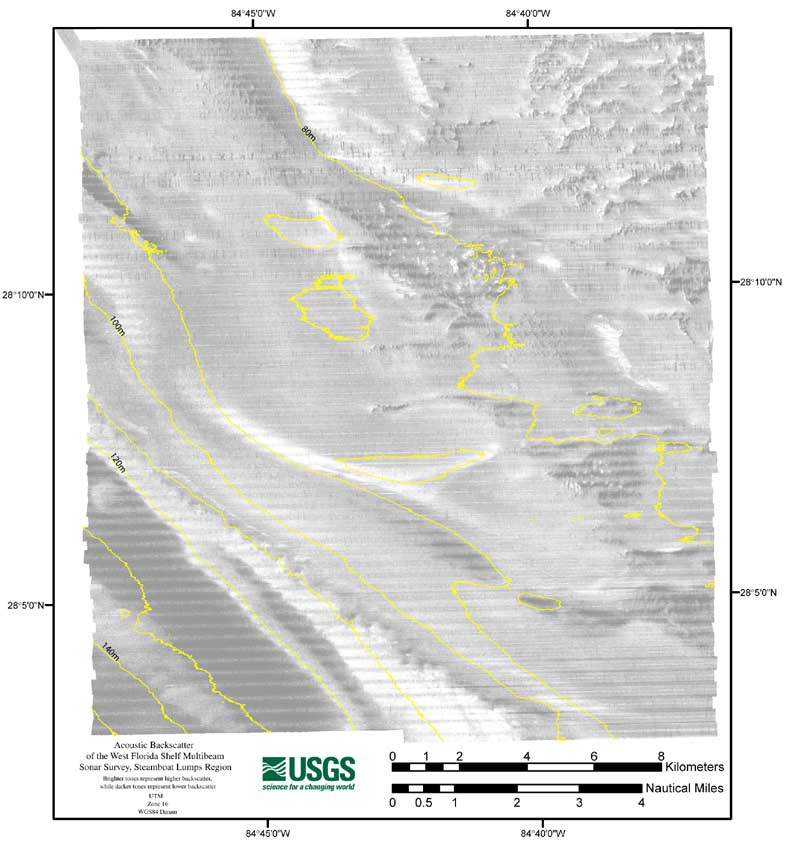 Steamboat Lumps Region of West Florida Shelf Acoustic Backscatter Image