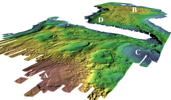 Perspective view of colored shaded-relief multibeam bathymetry of Lake Michigan; see caption below.