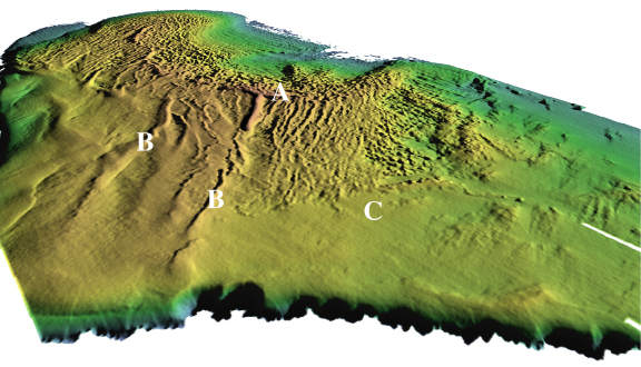 Perspective view of colored shaded-relief multibeam bathymetry of Lake Michigan; see caption below.