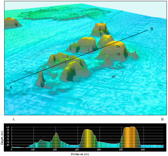 Oblique color shaded-relief view and bathymetric profile of Double Top Reef