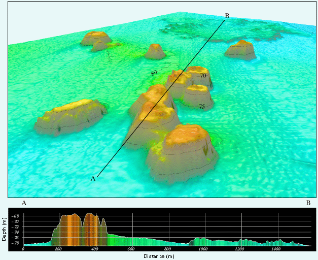 Oblique color shaded-relief view and bathymetric profile of Triple Top Reef