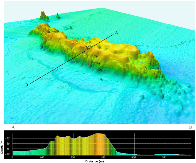 Oblique color shaded-relief view and bathymetric profile of Alabama Alps Reef